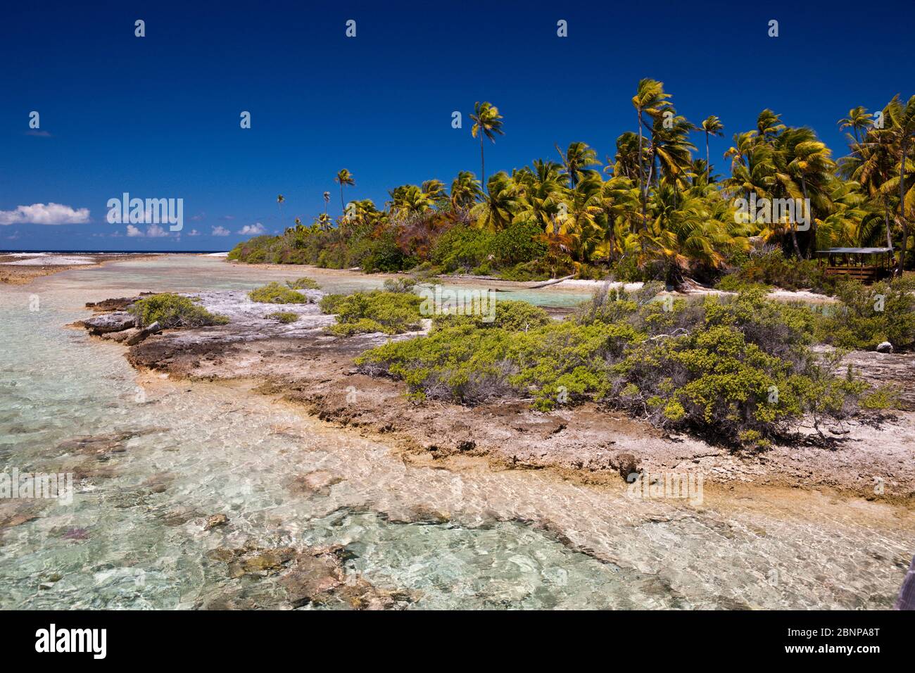 Lagoon of Tetamanu Village, Fakarava, Tuamotu Archipel, French Polynesia Stock Photo