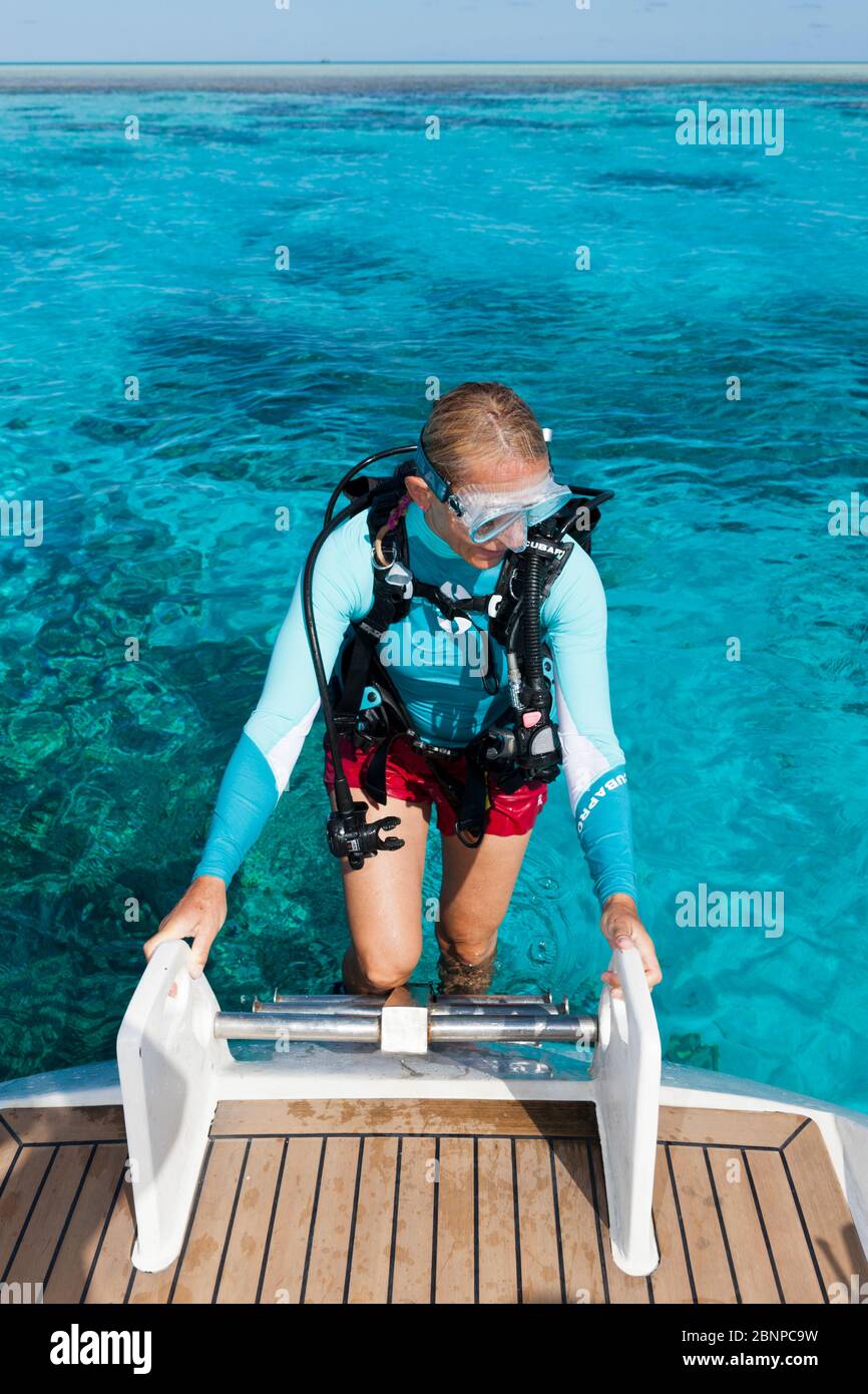 Scuba Diving at French Polynesia, Fakarava, Tuamotu Archipel, French Polynesia Stock Photo