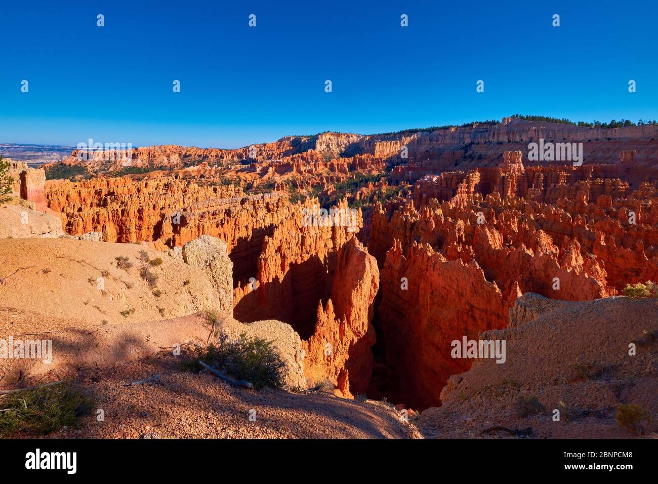 USA, United States of America, Bryce Canyon, Utah, Southwest USA, Stock Photo