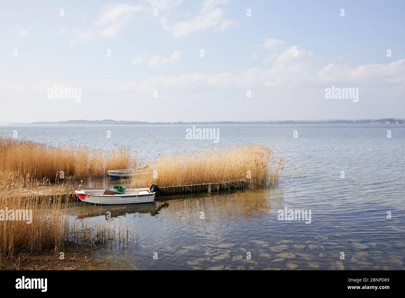 Germany, Mecklenburg-West Pomerania, Ruegen, Moenchgut, boat in the reeds Stock Photo