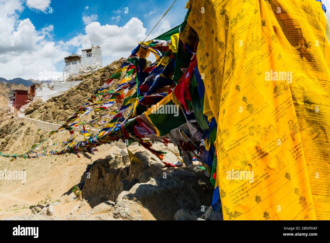 The Namgyal Tsemo Gompa Monastery, Tsenmo Hill, Leh, Ladakh, Jammu and Kashmir, India, Asia Stock Photo