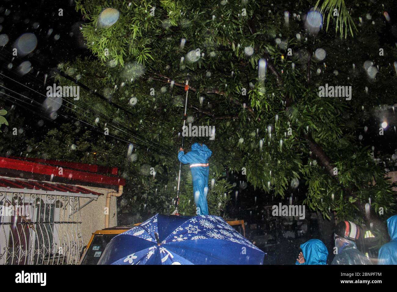 A rescuer removes tree branches twined around the electric cables. Super Typhoon Vongfong that hit the Philippines was packed with strong winds of at least 115 mph, an intensity that makes it the equivalent of a category 3 hurricane forcing evacuation of thousands of people in a country under lockdown amid the coronavirus pandemic. Since March 16, the Philippines have been under lockdown due to the spread of the virus. The typhoon has caused floods and destruction of properties while taking in consideration of a pandemic outbreak. More than 50,000 people were affected and they were taken to re Stock Photo