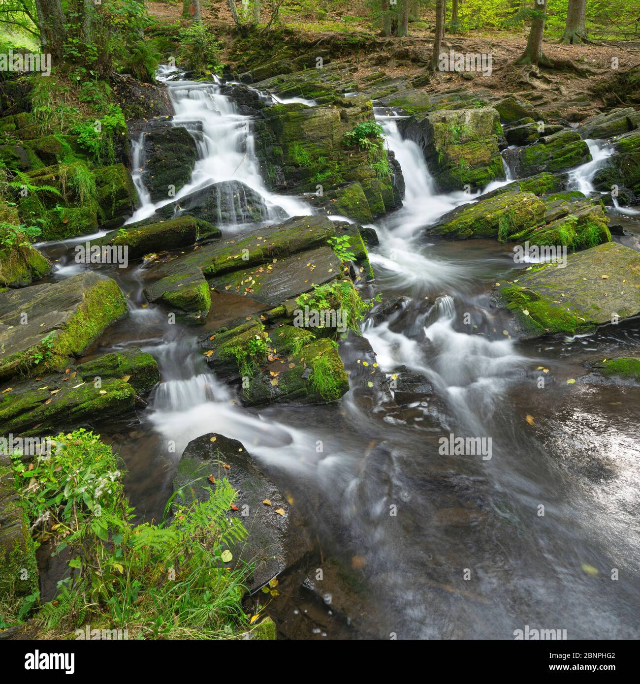 Germany, Saxony-Anhalt, Alexisbad, Harz, Selke waterfall Stock Photo