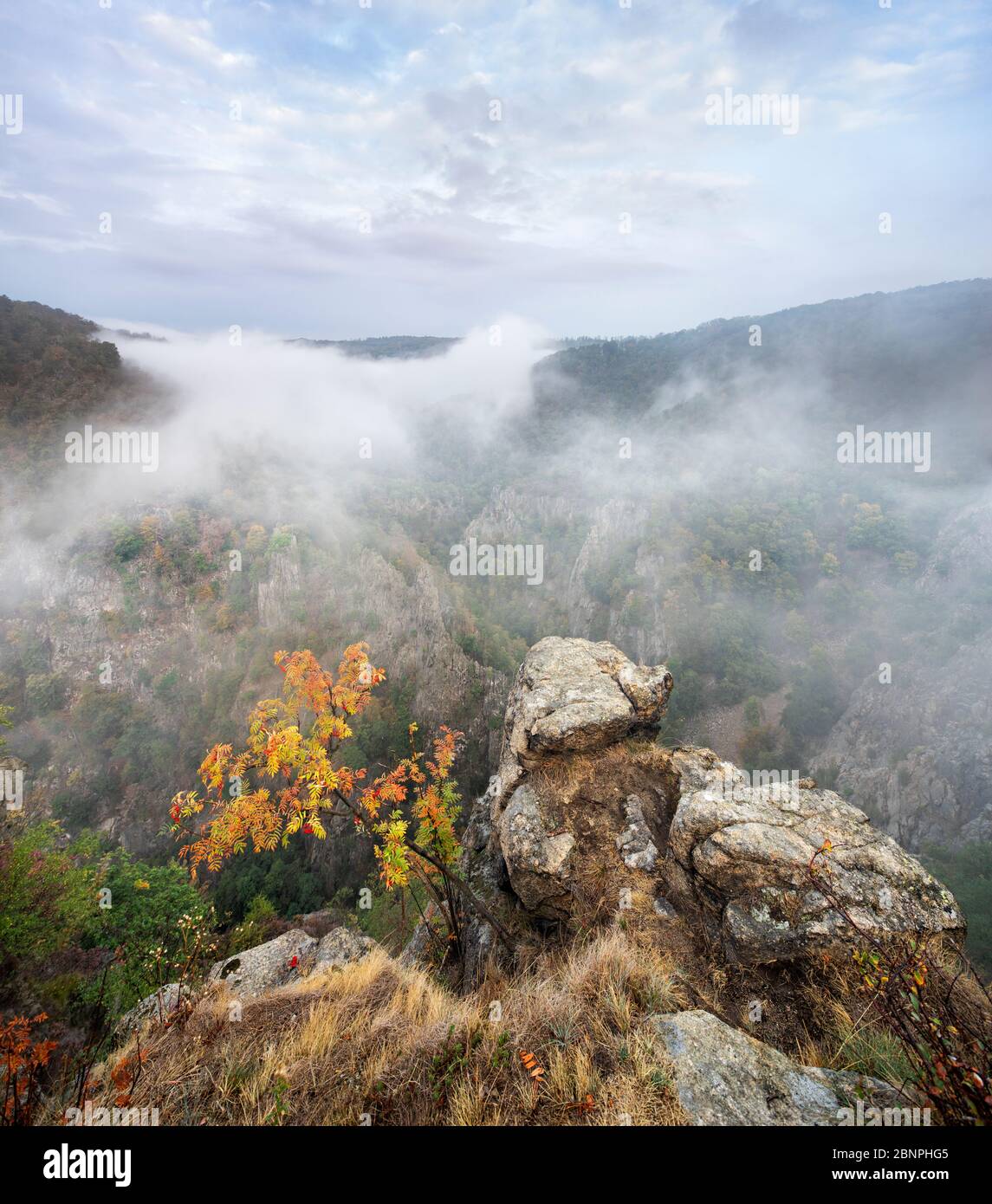 Germany, Saxony-Anhalt, Thale, Harz, view from the Roßtrappe in autumn, morning mist in the Bodetal Stock Photo