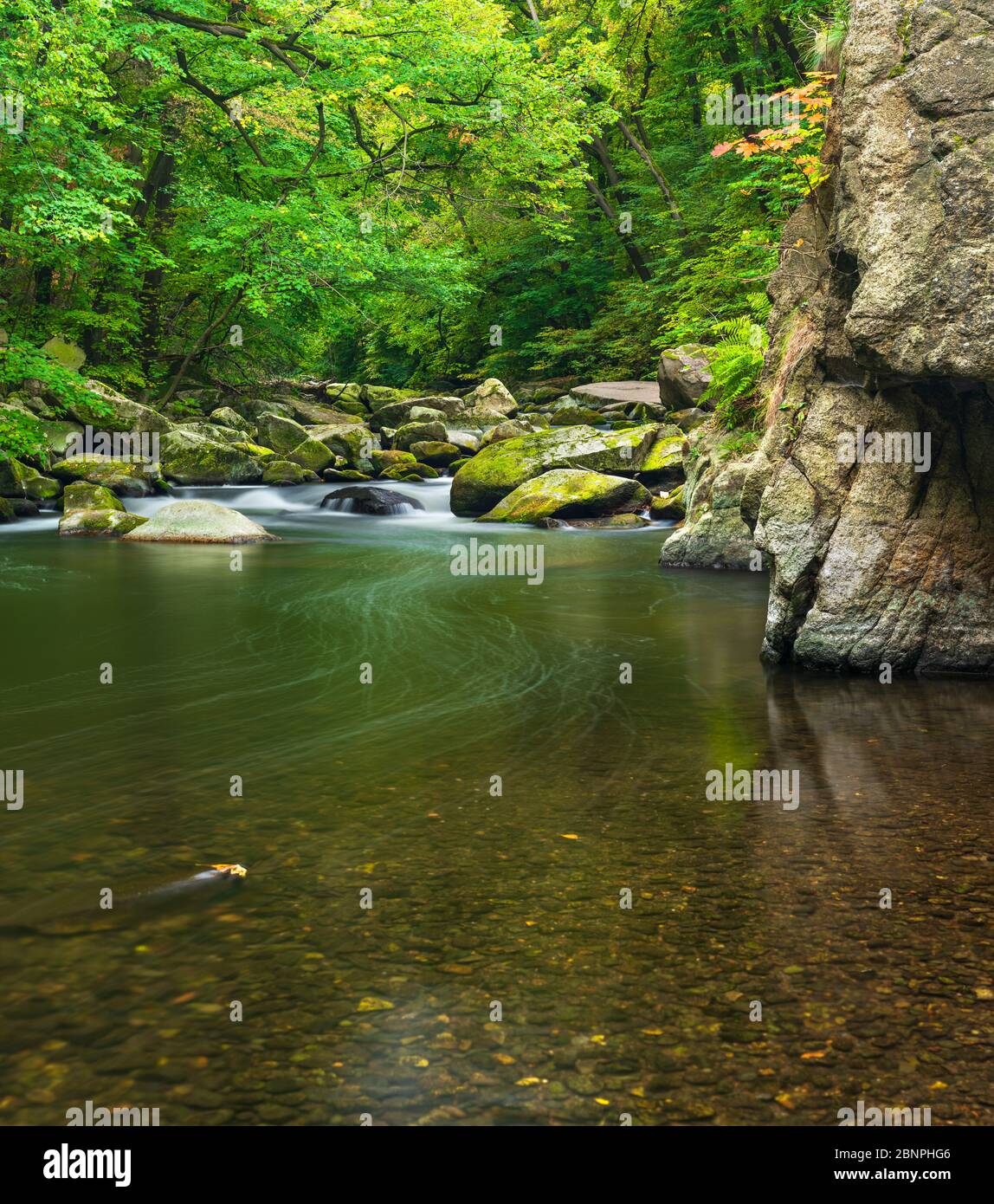 Germany, Saxony-Anhalt, Harz, autumn in the Bodetal between Thale and Treseburg Stock Photo