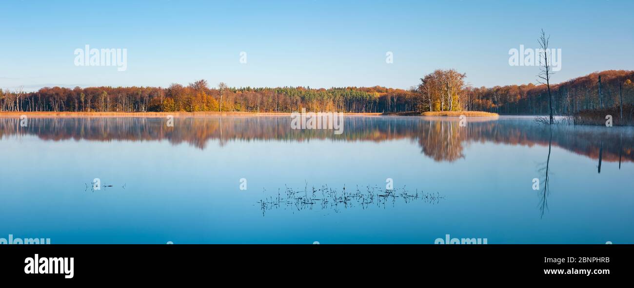 Germany, Mecklenburg-West Pomerania, Müritz National Park in autumn, Stiller See with morning fog, colorful forest reflected, panorama Stock Photo