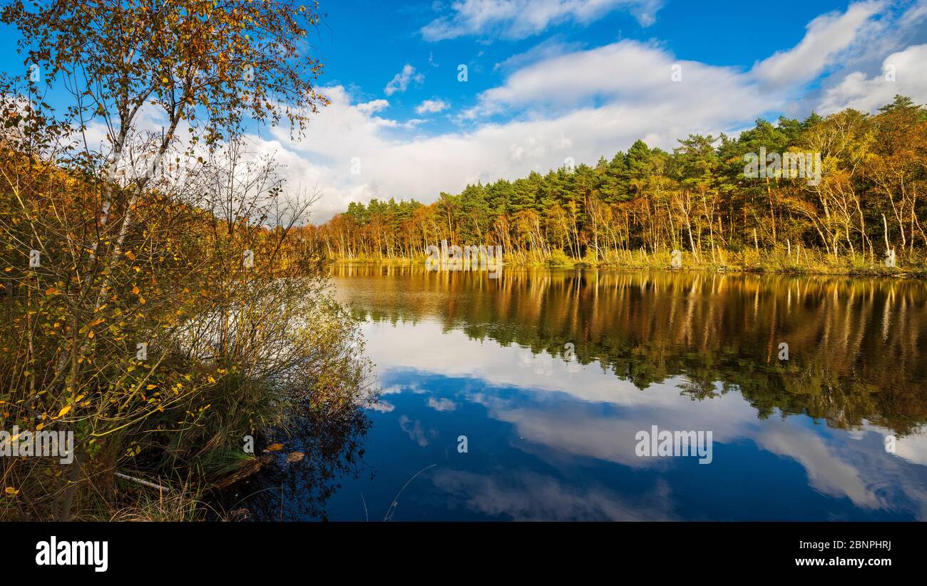 Germany, Mecklenburg-West Pomerania, Mueritz National Park, Stiller See with water lilies in autumn, colorful forest and clouds are reflected, Wienpietschseen Stock Photo