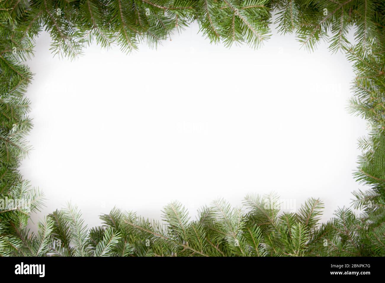 Christmas frame of the branches of pine, isolated on white background ...