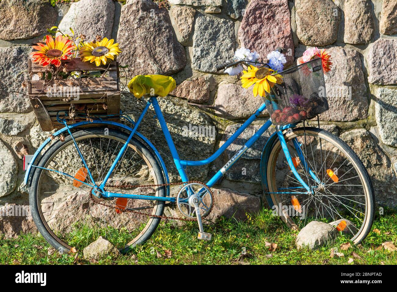 Old bicycle with plastic flowers, Neugrimnitz, Angermünde, Uckermark, Brandenburg, Germany Stock Photo