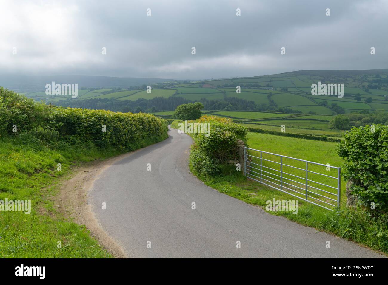 Typical english street lined with hedges, Devon, South West England ...