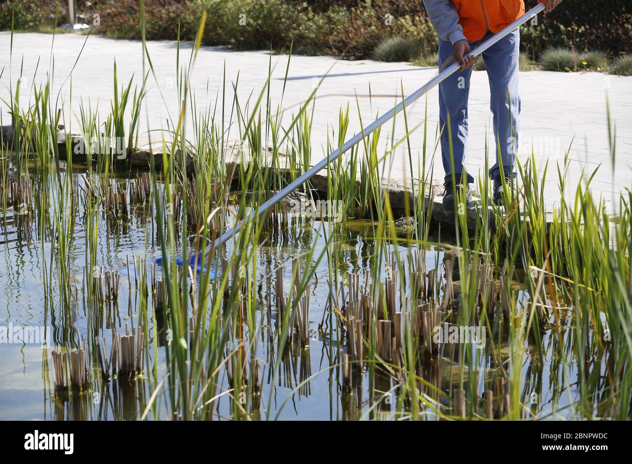 close up workers cleaning lakeshore Stock Photo Alamy