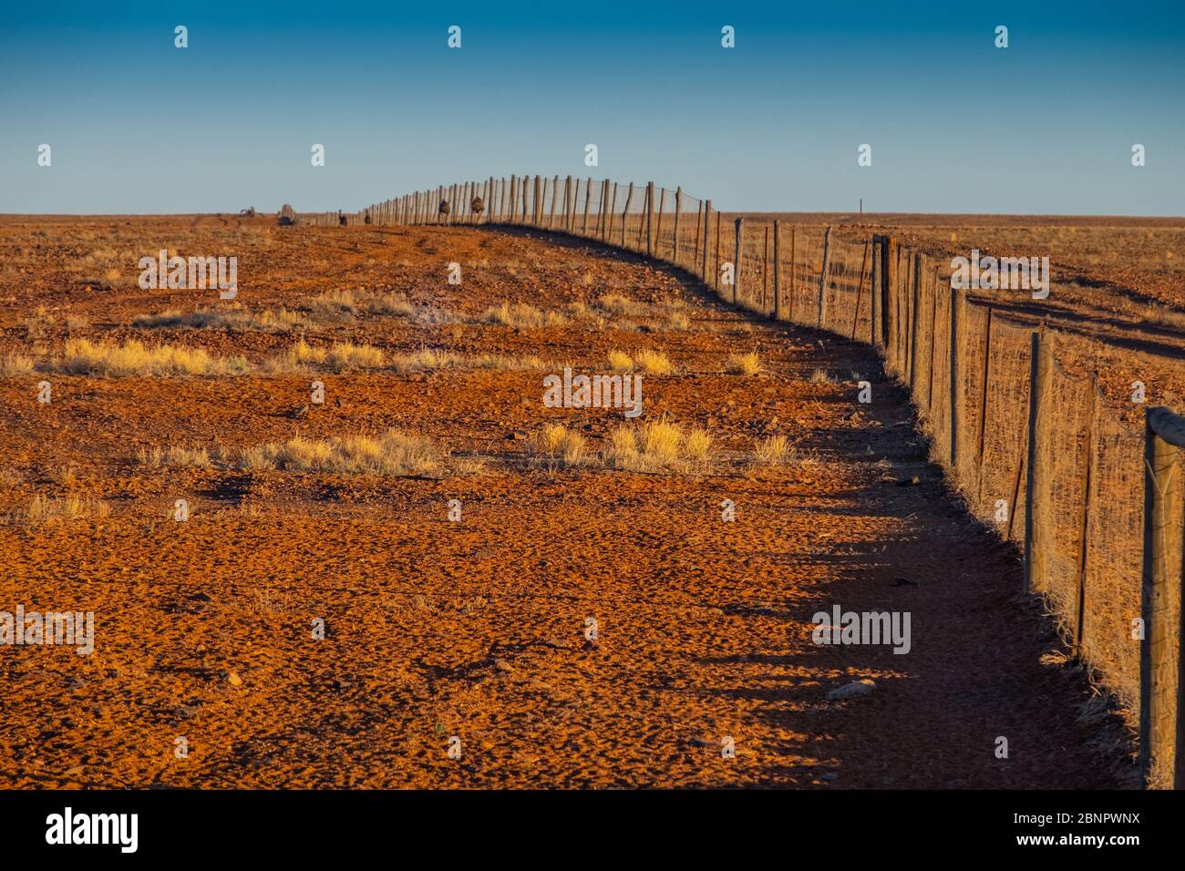 View along a section of the famous Dingo Fence or Dog Fence at Coober