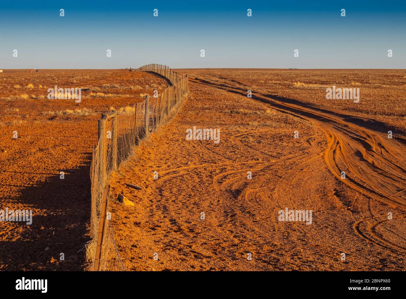 Where Is The Dog Fence Australia