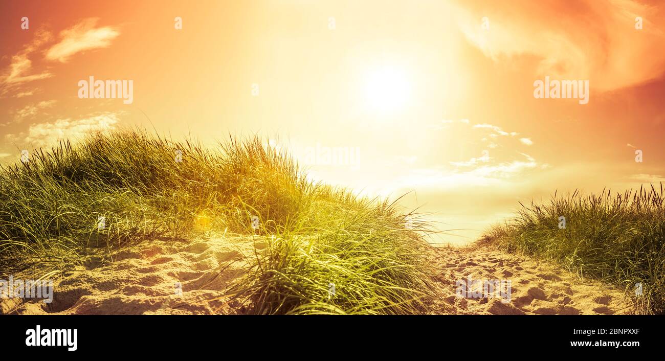 Sunset glow over a dune by the sea Stock Photo