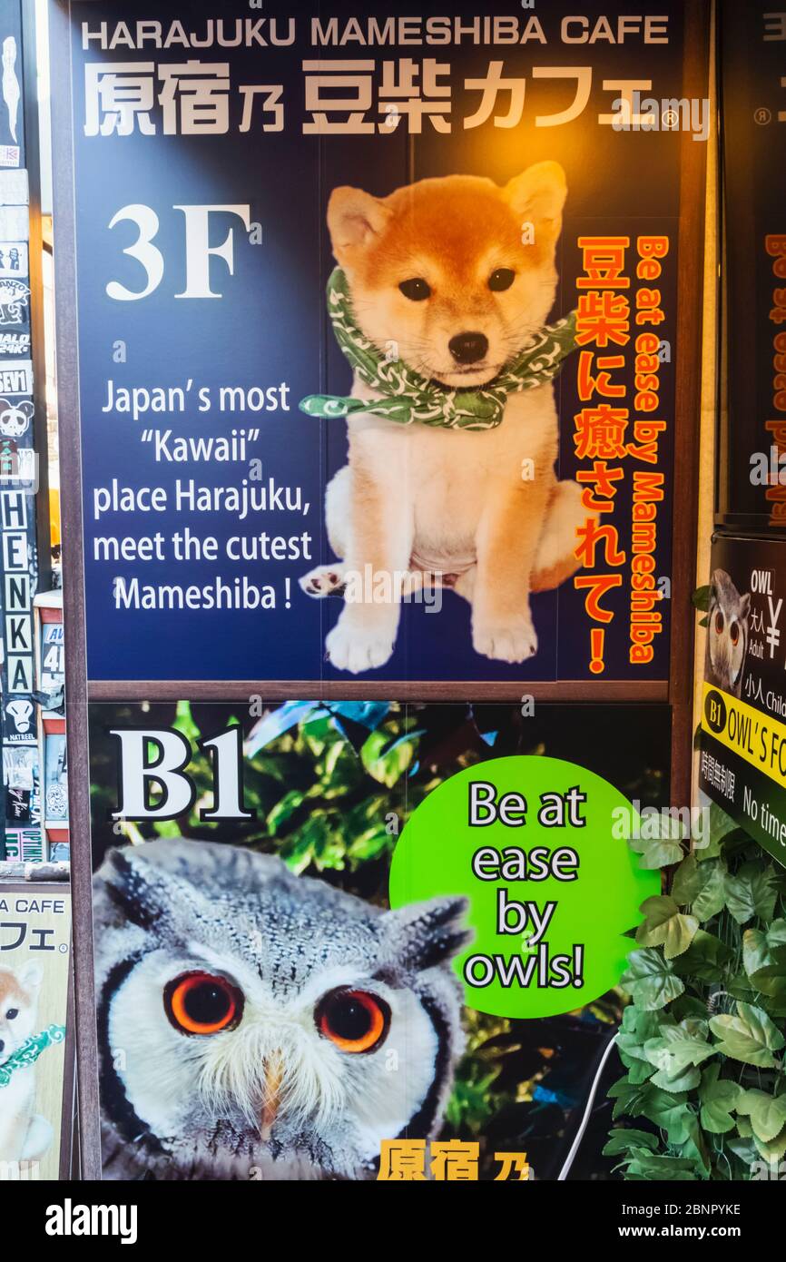 Japan, Honshu, Tokyo, Harajuku, Takeshita Dori, Animal Cafe Sign Stock Photo - Alamy Japan, Honshu, Tokyo, Harajuku, Takeshita Dori, Animal Cafe Sign Stock Photo - Alamy
