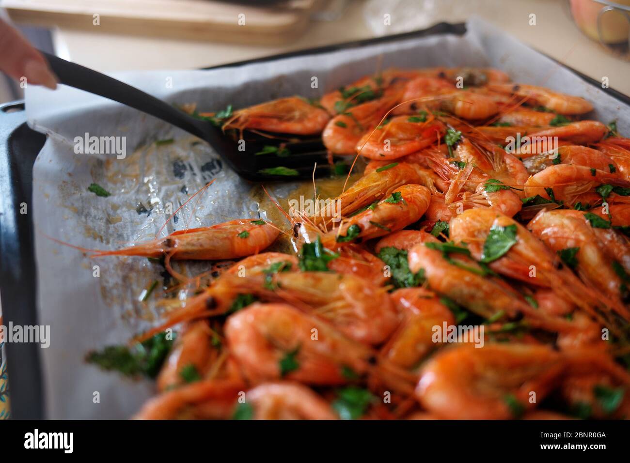 Fresh boiled prawns with coriander on protvin. The cook puts a spatula on juicy seafood. Delicious dish for gourmets Stock Photo