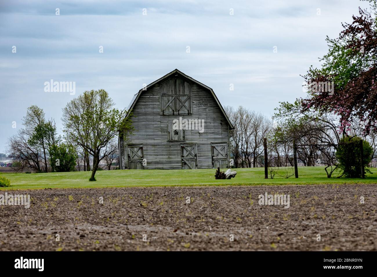 Old weathered grey wooden farmhouse barn in Illinois with green grass