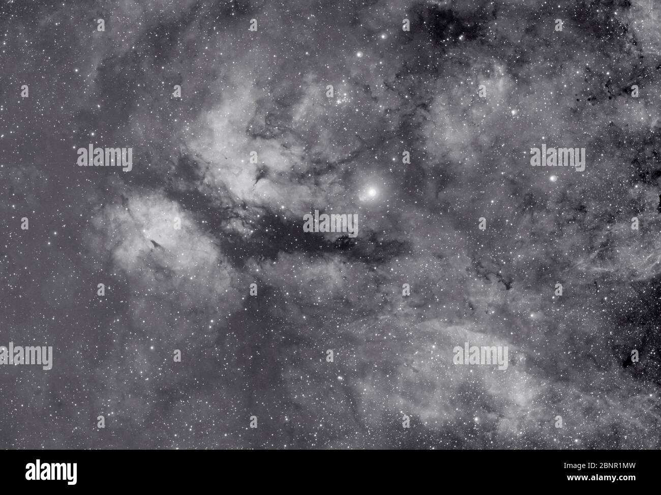 The star Sadr and Gamma Cygni Nebula in Cygnus, imaged in monochrome narrowband from London, UK Stock Photo