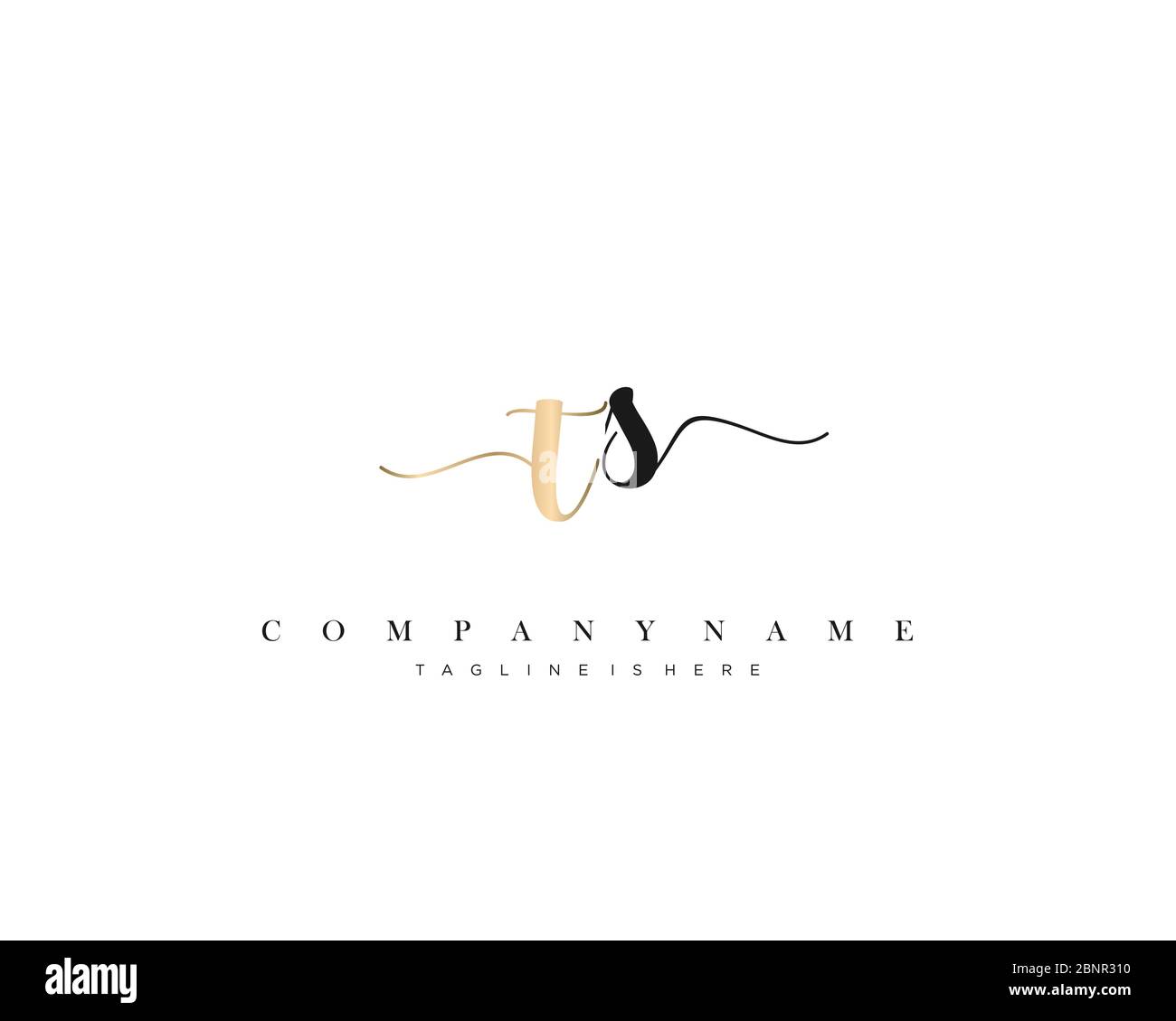 TS Initial handwriting logo vector. Stock Vector