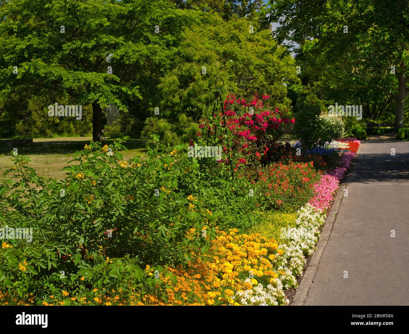 Europe, Germany, Hesse, Marburg, Botanical Garden of the Philipps
