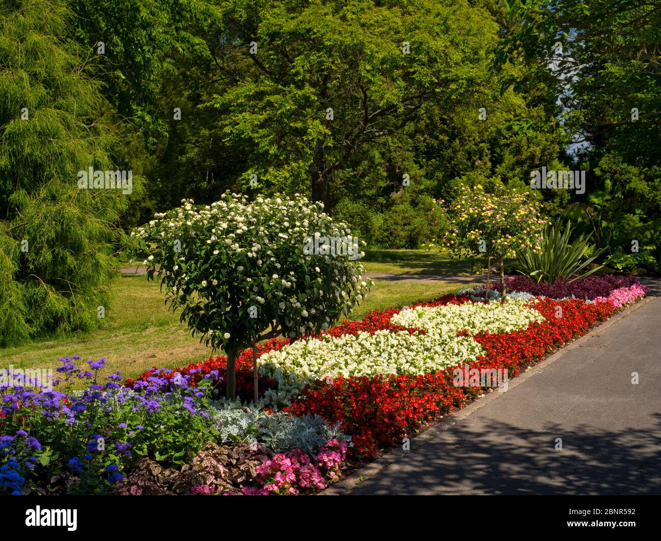 Europe, Germany, Hesse, Marburg, Botanical Garden of the Philipps