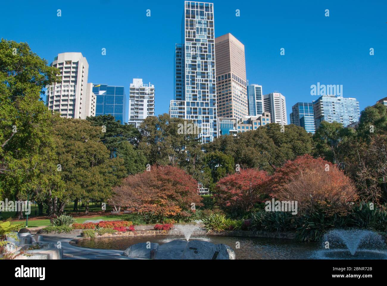 City skyline seen from Treasury Gardens on the eastern edge of the central business district, Melbourne, Australia Stock Photo