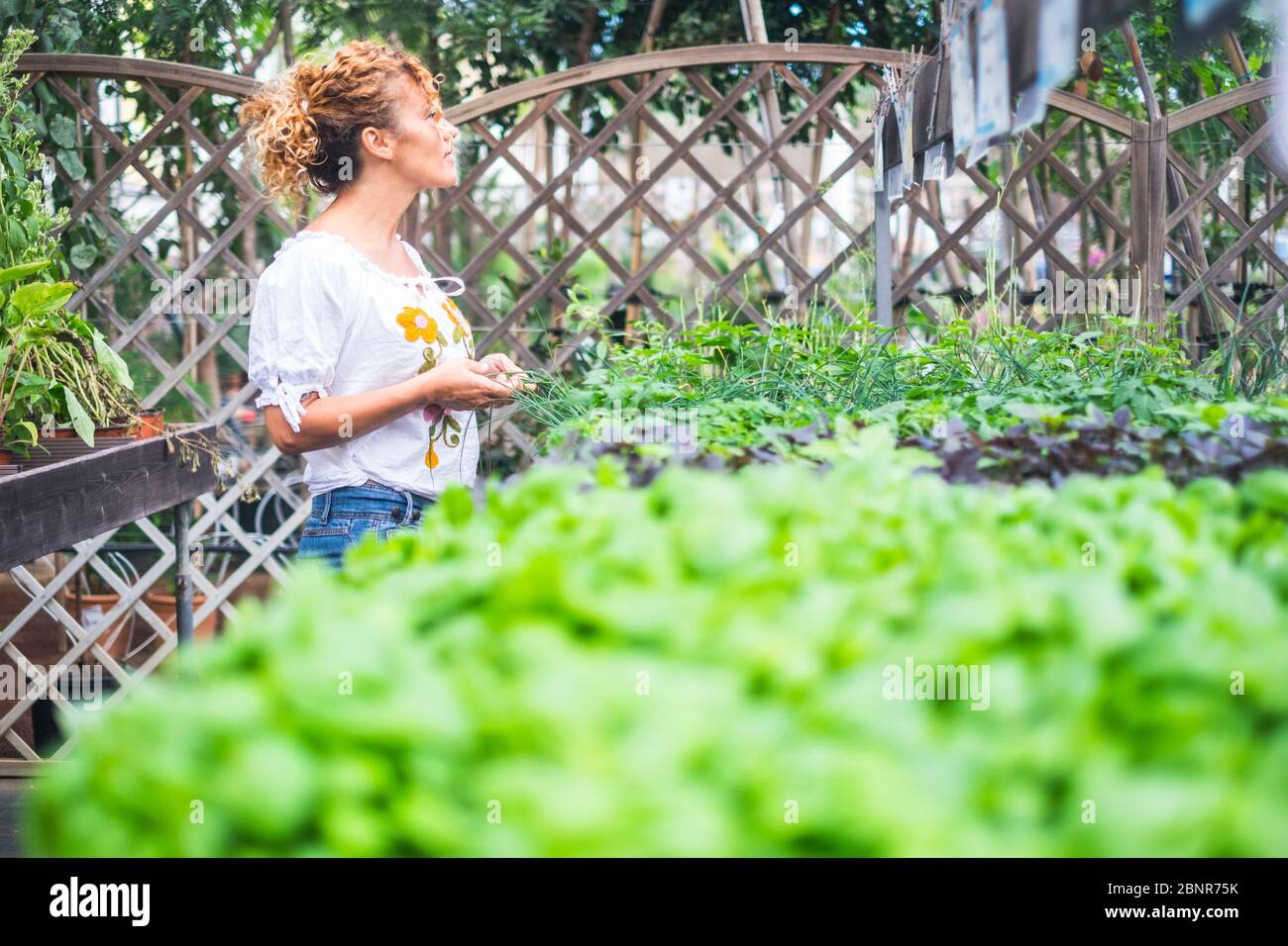 People and gardening activity in the nature - store and shop of plants to cook or home design indoor -  concept of woman and green nature garden Stock Photo