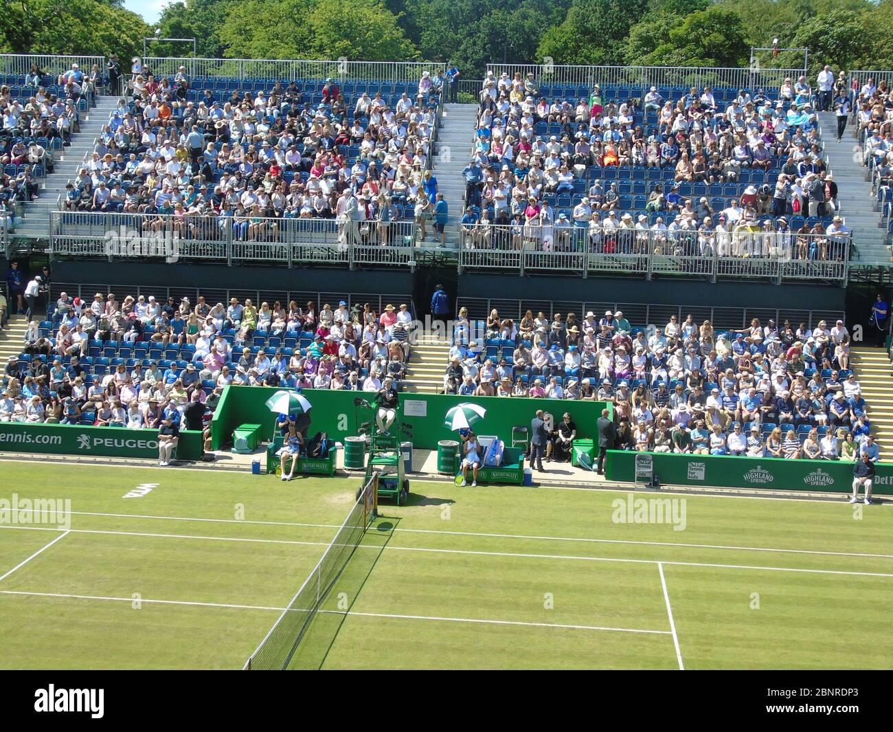 Ann jones hires stock photography and images Alamy