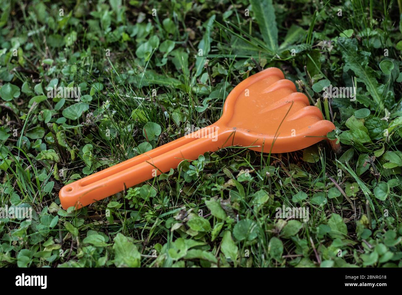 closeup of a small orange plastic toy rake resting on the grass Stock Photo