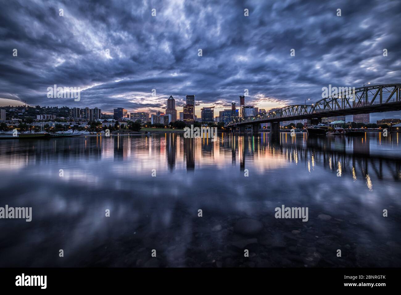 portland shirt dickies