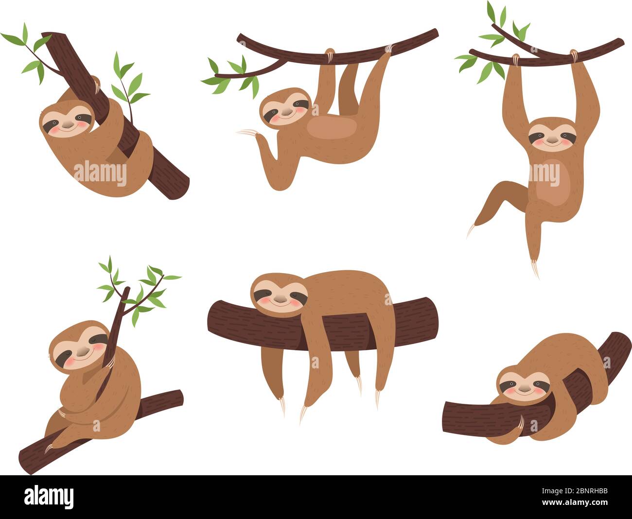 Sloth characters. Cute sleepy animal on branch tree kid climbing vector cartoon mascot Stock Vector