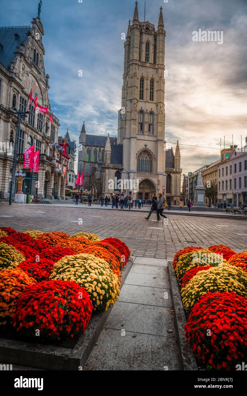 Europe, Belgium, old town, Ghent, city, Sint-Baafsplein, St. Bavo Cathedral, Sint-Baafskathedraal, Bavo Stock Photo