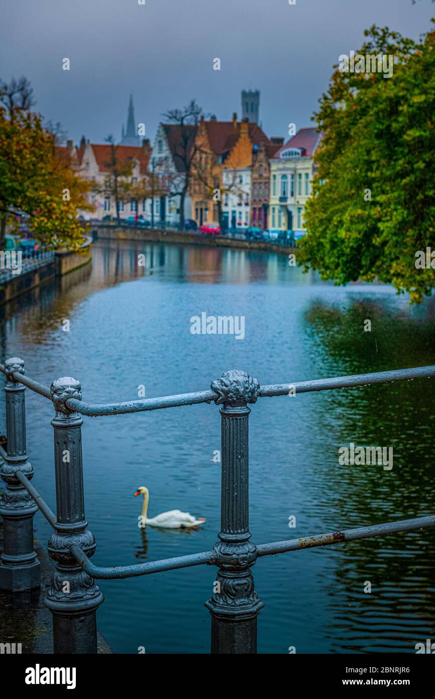 Europe, Belgium, Bruges, city, old town, canal, Langerei Stock Photo