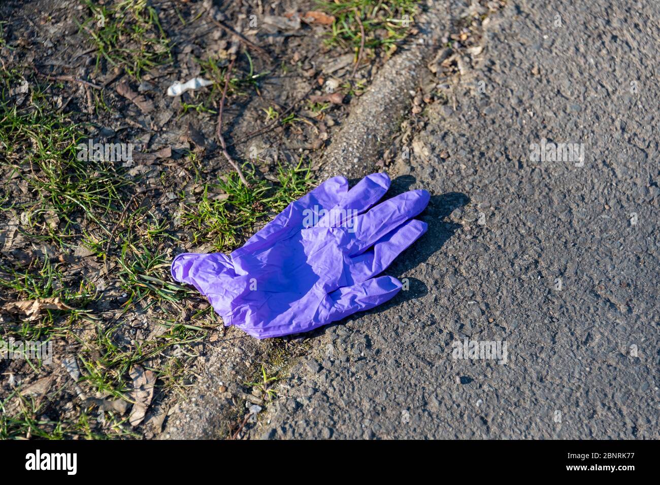 A protective glove lies on an asphalt path, corona, corona pandemic, corona epidemic, symbolic image Stock Photo