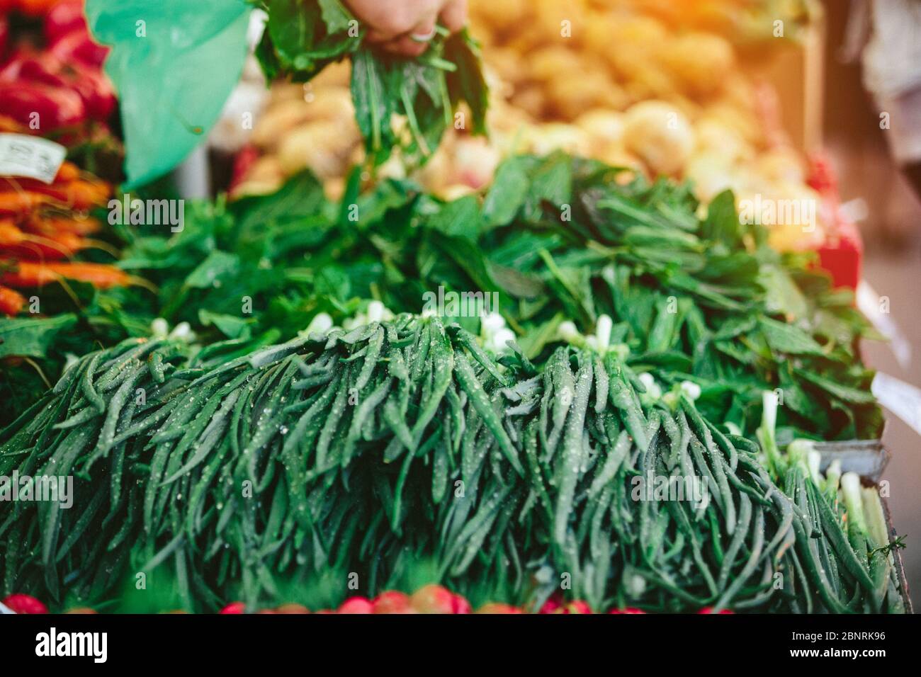 Onion onions produce green allium hi-res stock photography and images ...