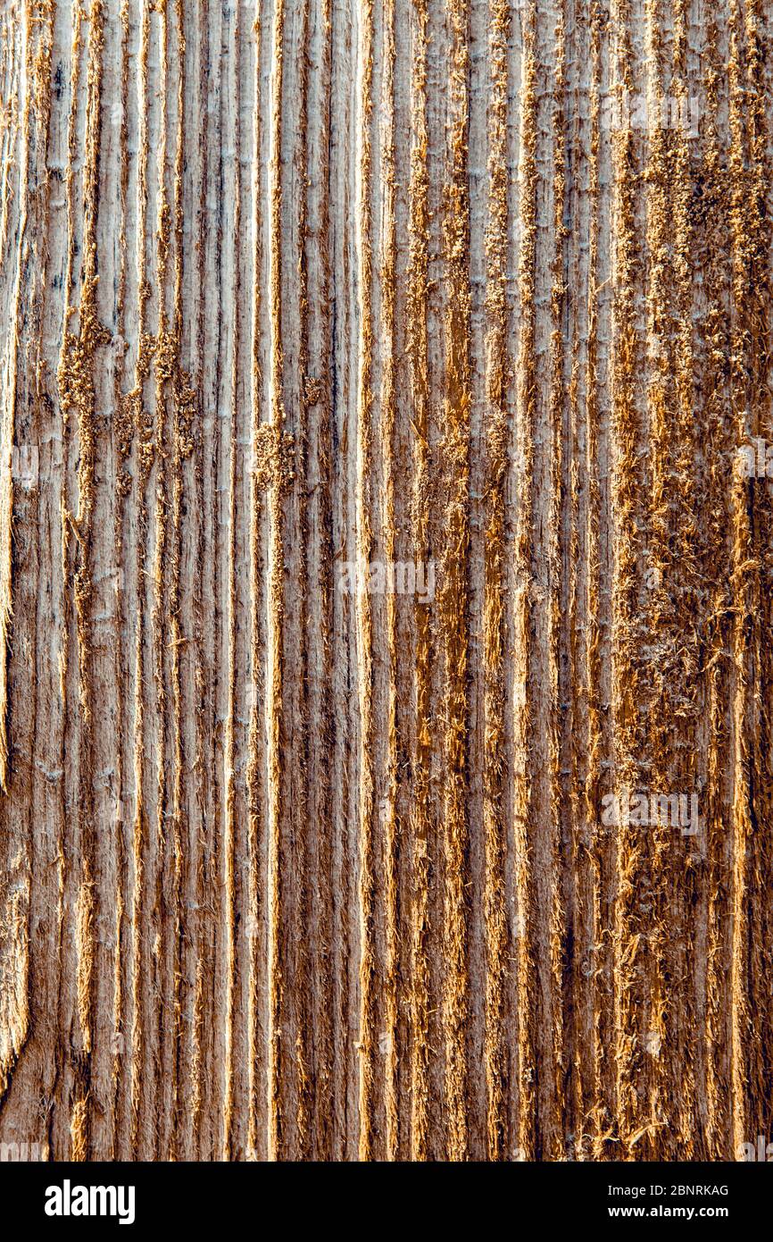 dark rough wood surface texture Stock Photo