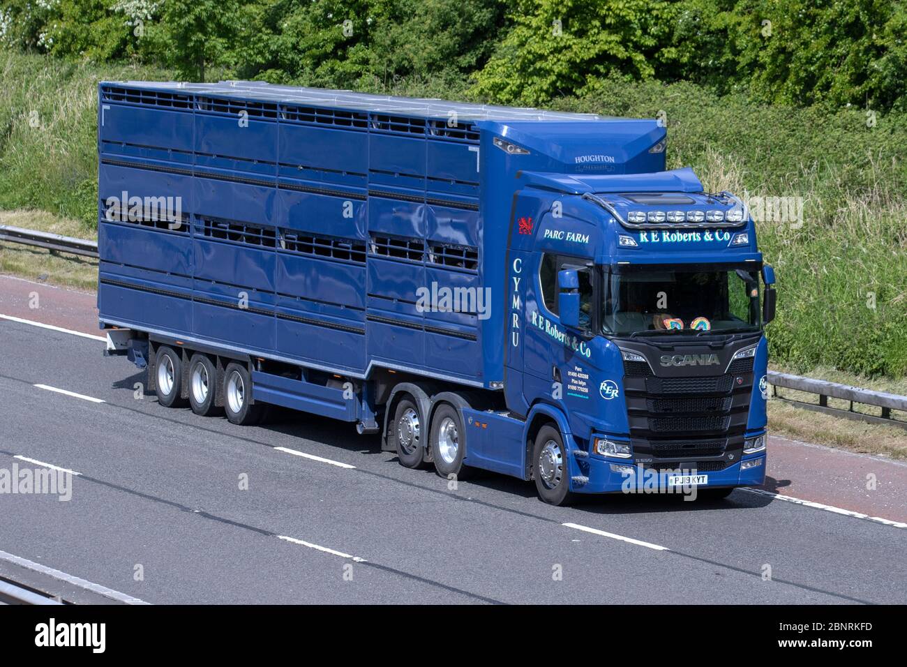 Cattle On Lorry High Resolution Stock Photography and Images Alamy