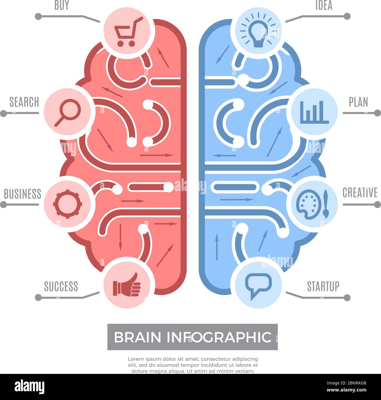 Brain infographic. Conceptual thinking learning symbols vector creative business pictures with place for text Stock Vector