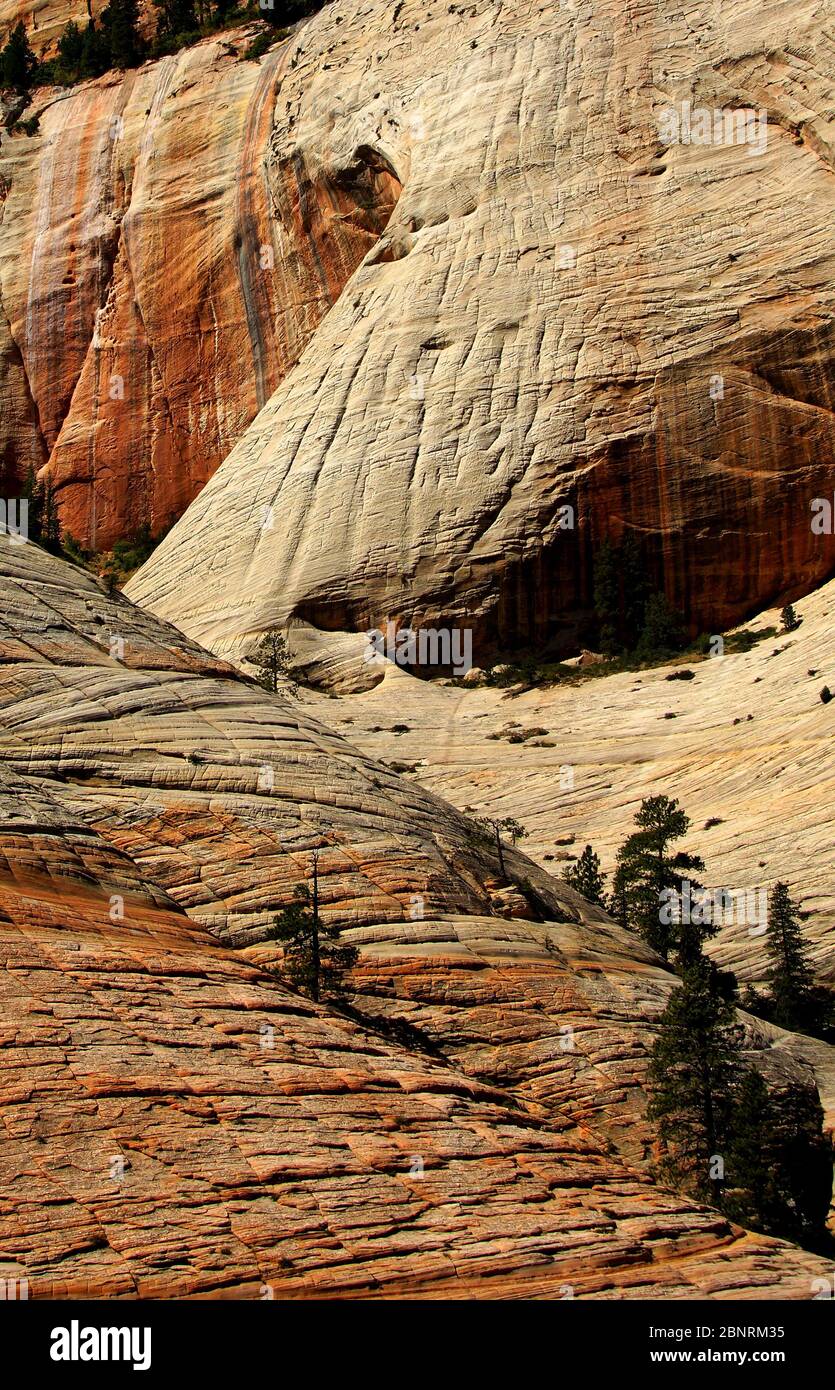 Usa zion national park panorama hi-res stock photography and images - Alamy