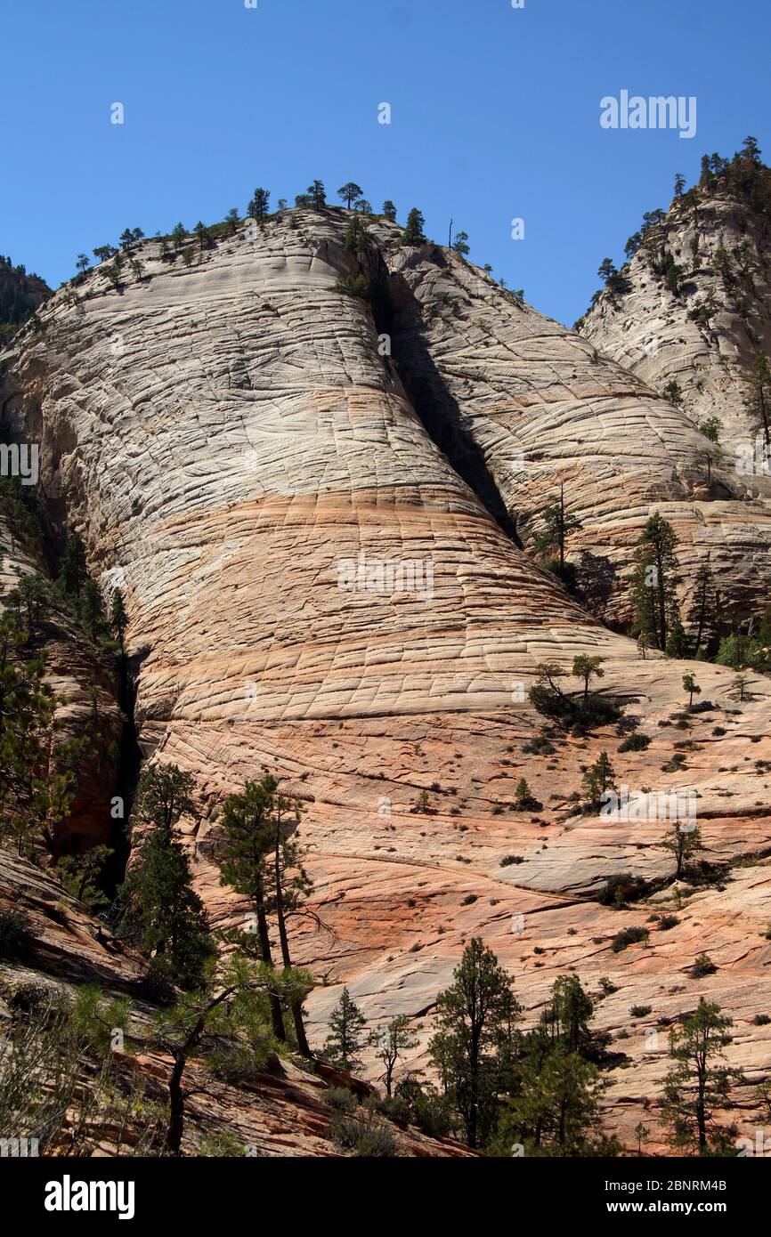 Zion national park stones hi-res stock photography and images - Alamy