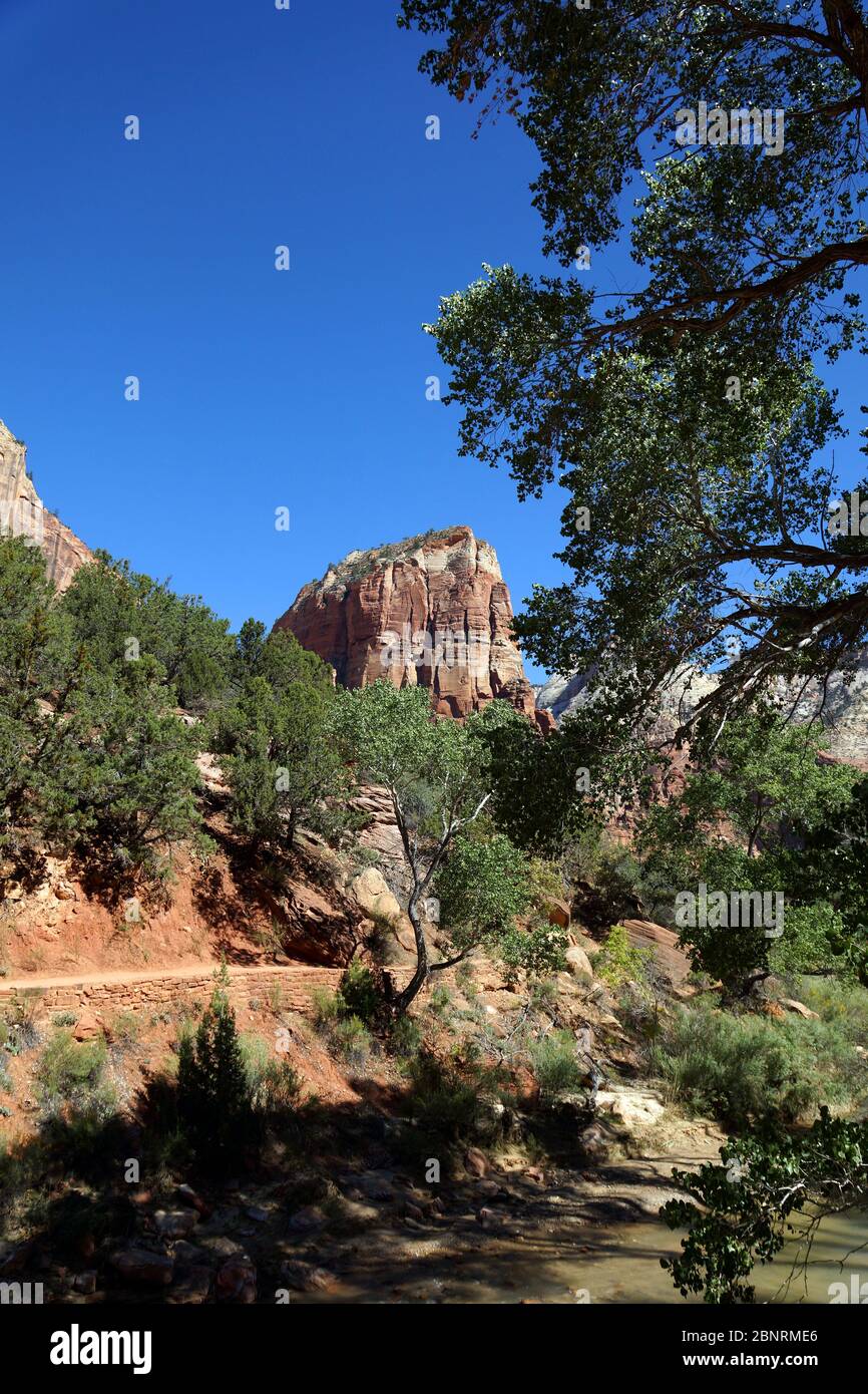 Hike zion hi-res stock photography and images - Alamy