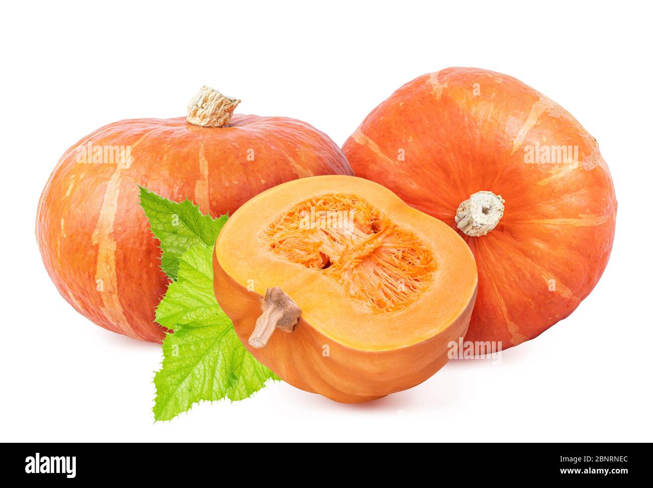 Set of pumpkins isolated on white background Stock Photo - Alamy
