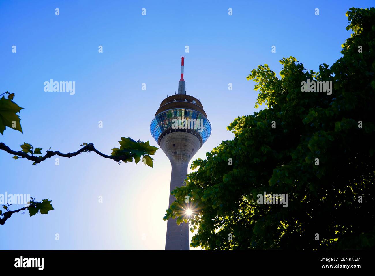 Rhine Tower (German: Rheinturm), Düsseldorf's landmark, glistening like a jewel in the backlight of the afternoon sun. Stock Photo