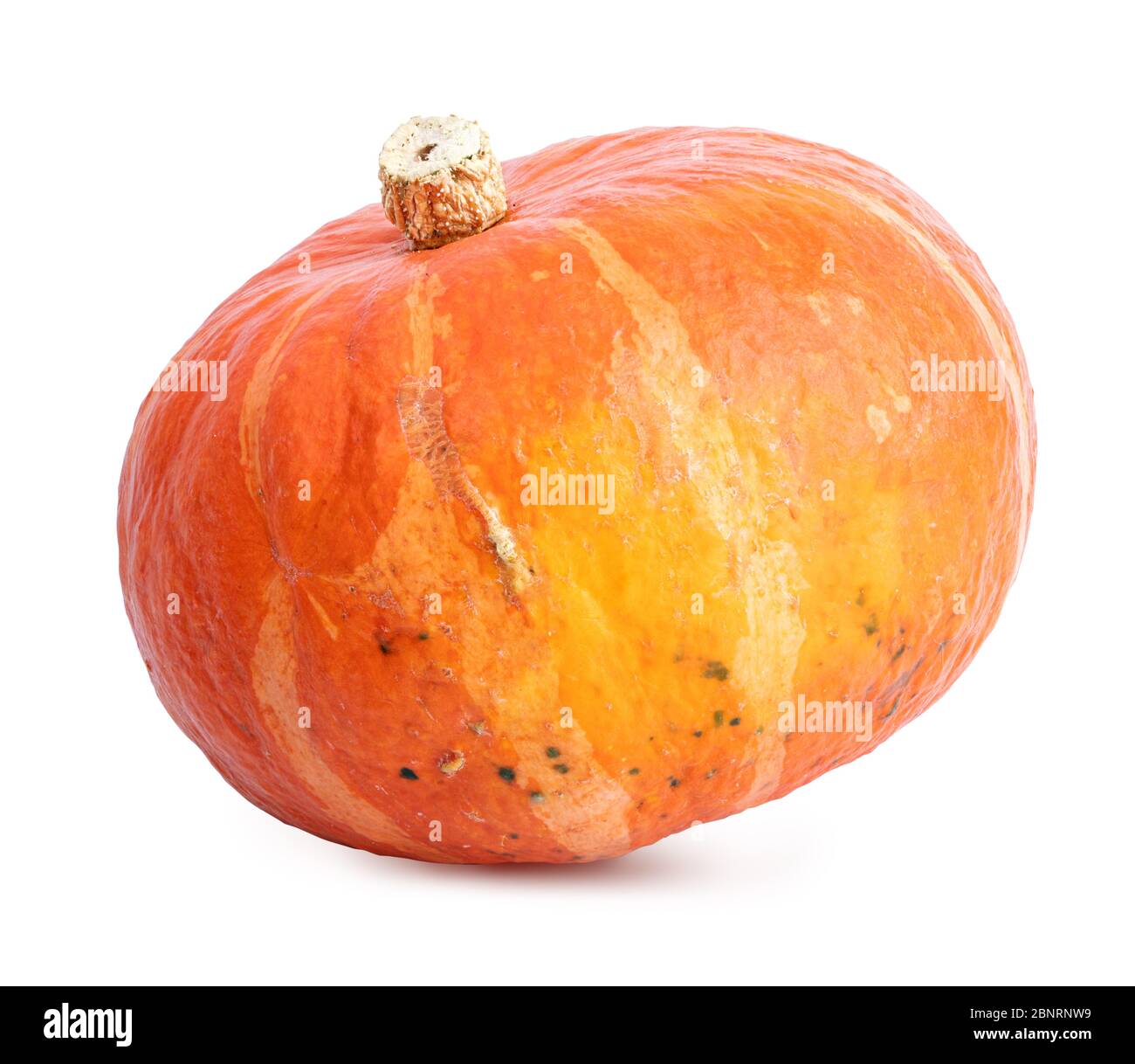 Pumpkin isolated on white background Stock Photo - Alamy