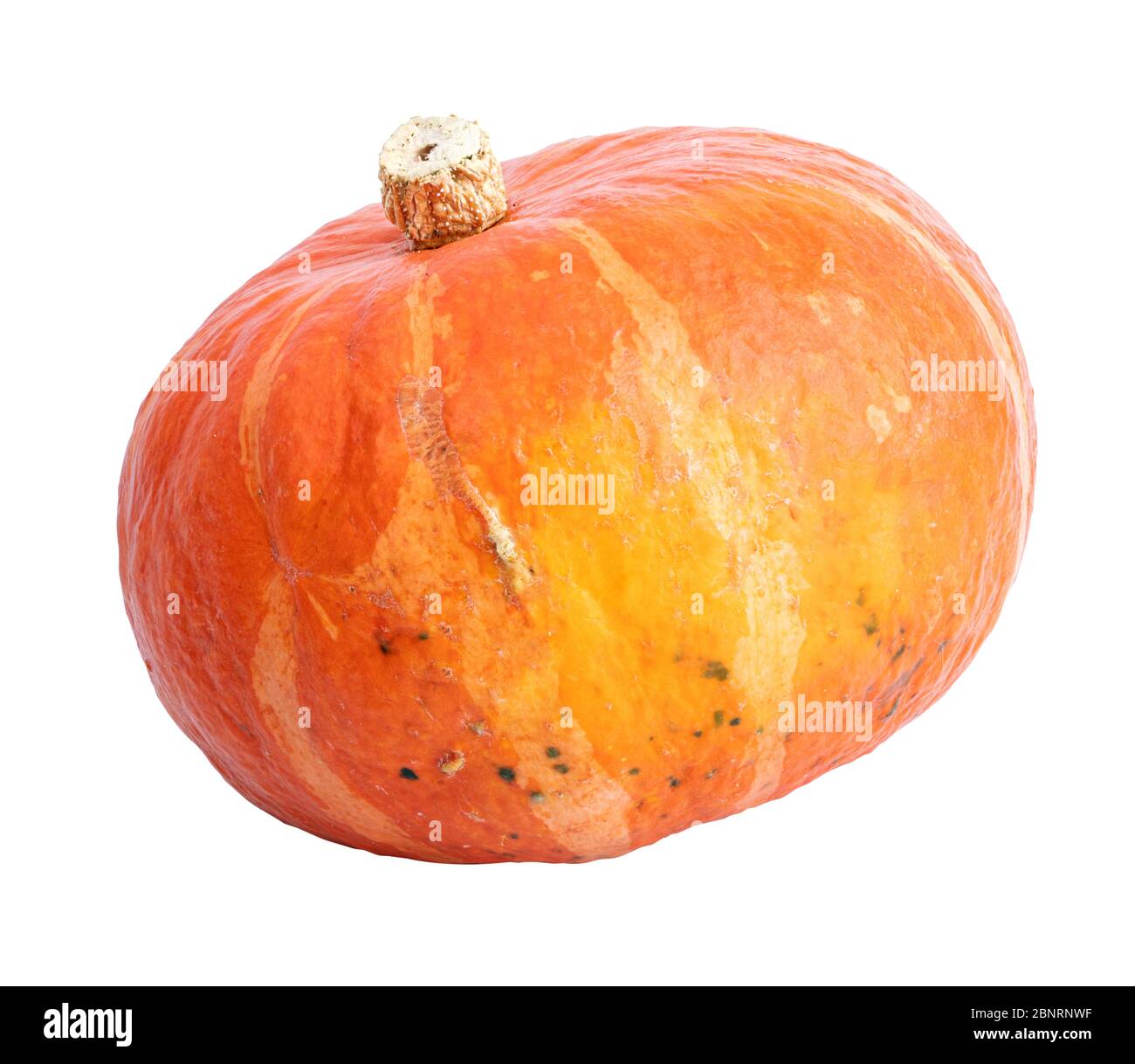 Pumpkin isolated on white background Stock Photo - Alamy