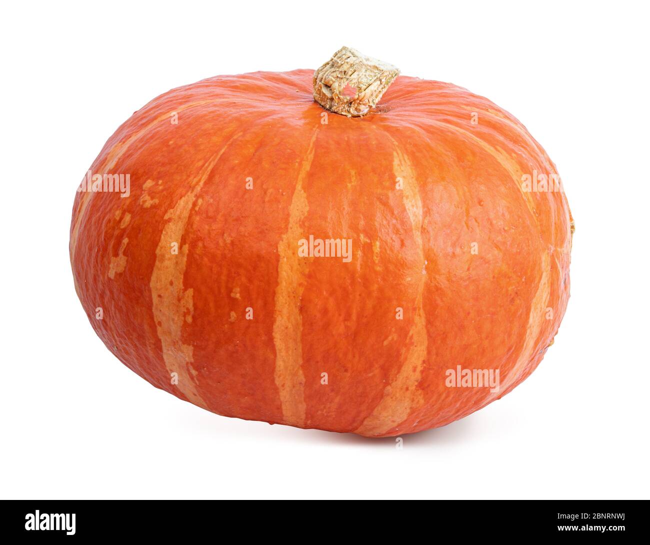 Pumpkin isolated on white background Stock Photo - Alamy