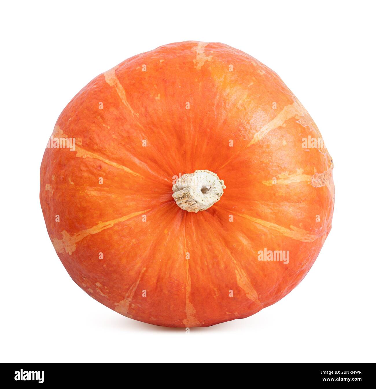 Pumpkin isolated on white background Stock Photo - Alamy