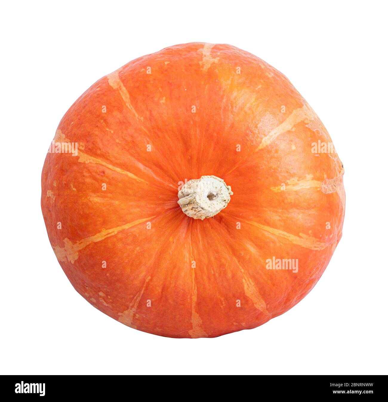 Pumpkin isolated on white background Stock Photo - Alamy