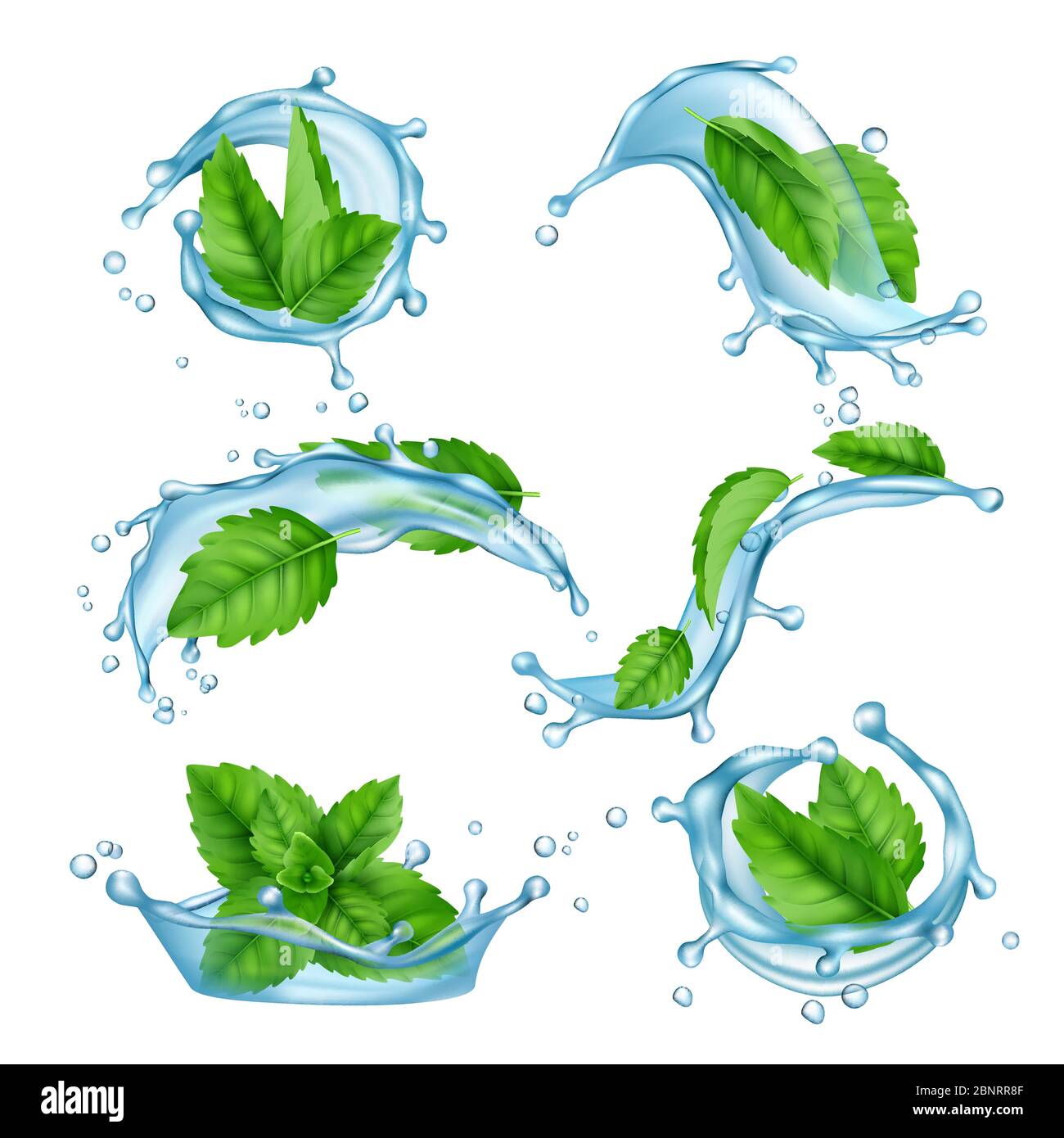 Fresh water mint. Liquid splashes with green menthol leaf for drink vector realistic collection Stock Vector
