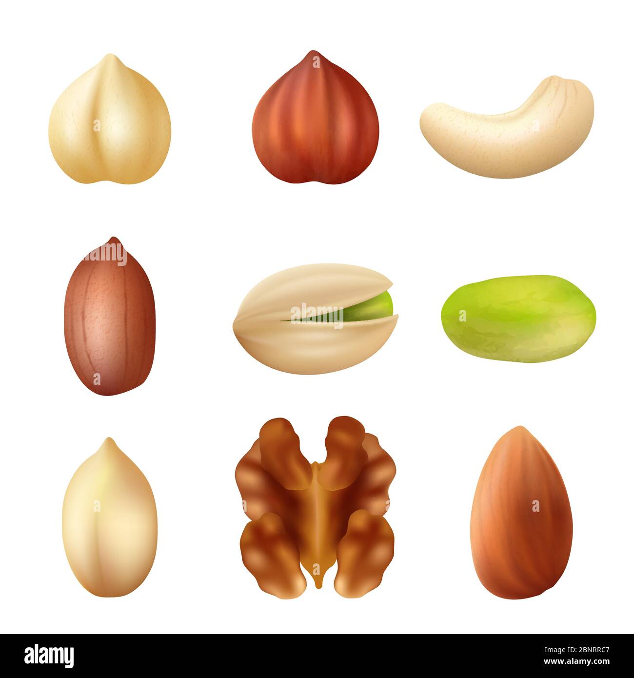 Nuts collection. Nature food dried cashew healthy peanut crumbs vector agriculture picture Stock